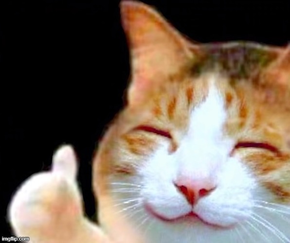 Happy Thumbs Up Cat | image tagged in happy thumbs up cat | made w/ Imgflip meme maker