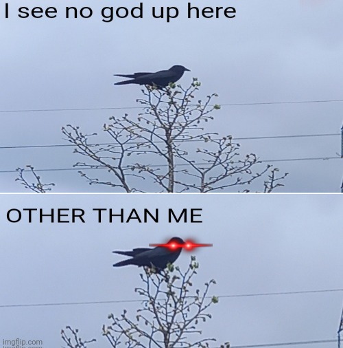image tagged in i see no god up here other than me | made w/ Imgflip meme maker