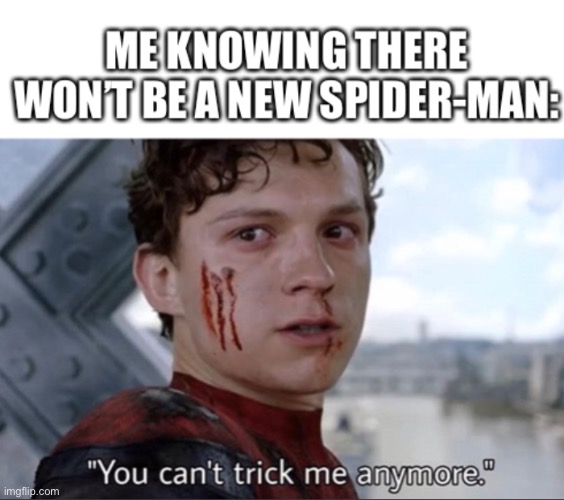 There won’t be anymore | image tagged in funny,marvel,spiderman | made w/ Imgflip meme maker