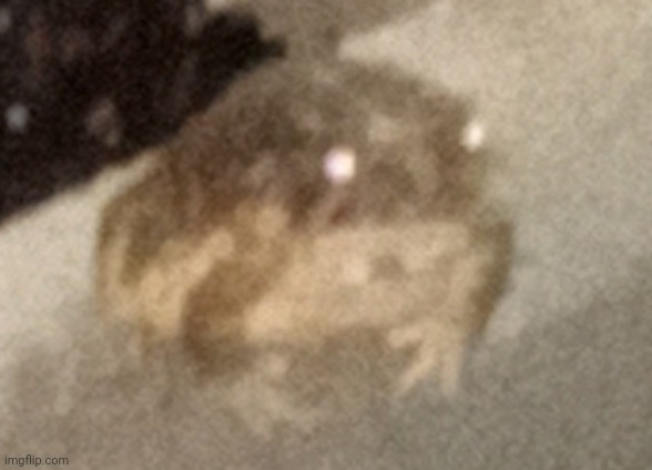 obese ball | made w/ Imgflip meme maker