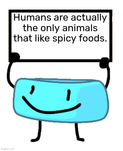 This is true. | Humans are actually the only animals that like spicy foods. | image tagged in bracelety sign | made w/ Imgflip meme maker