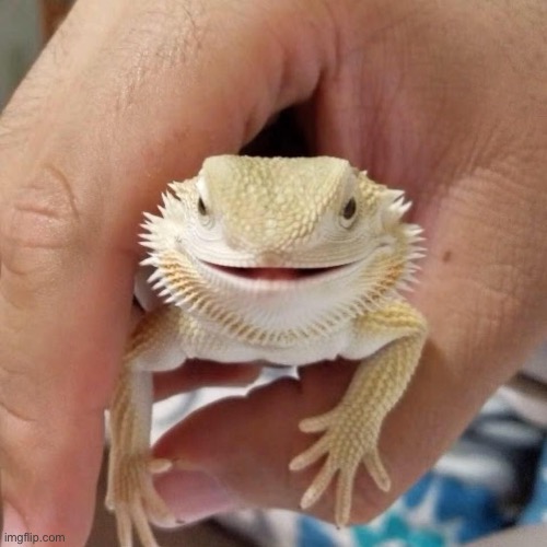 it’s smiling | made w/ Imgflip meme maker