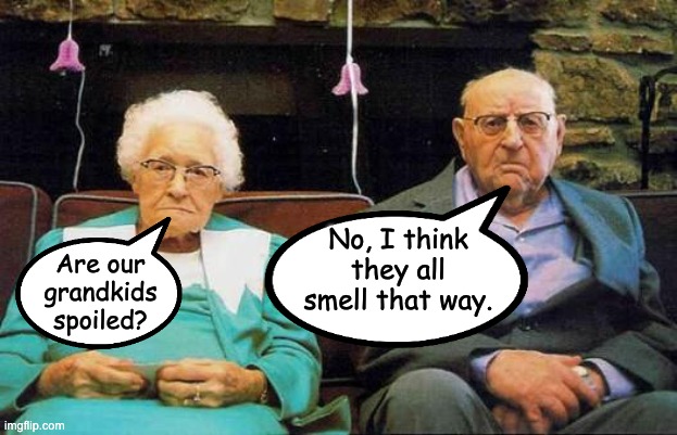 spoiled | No, I think they all smell that way. Are our grandkids spoiled? | image tagged in old couple | made w/ Imgflip meme maker