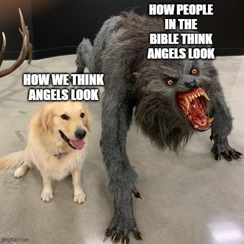 Good dog scary dog | HOW PEOPLE IN THE BIBLE THINK ANGELS LOOK; HOW WE THINK ANGELS LOOK | image tagged in good dog scary dog | made w/ Imgflip meme maker