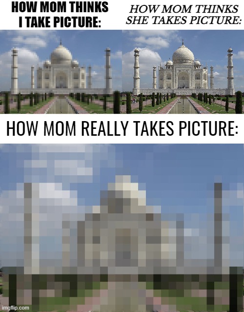 i think this happens only to me | HOW MOM THINKS I TAKE PICTURE:; HOW MOM THINKS SHE TAKES PICTURE:; HOW MOM REALLY TAKES PICTURE: | image tagged in unfunny,memes,taj mahal,school is trash | made w/ Imgflip meme maker