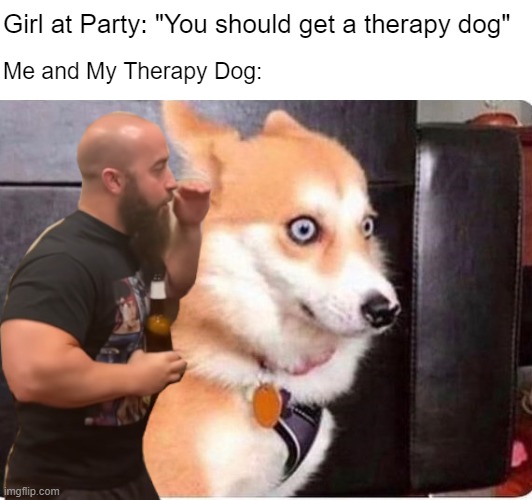 Maybe I shoulda stayed at the party | Me and My Therapy Dog:; Girl at Party: "You should get a therapy dog" | made w/ Imgflip meme maker
