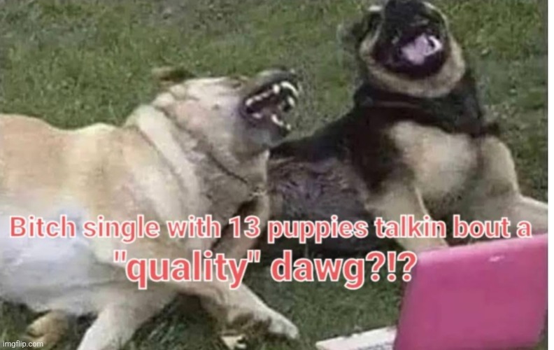 image tagged in funny memes | made w/ Imgflip meme maker