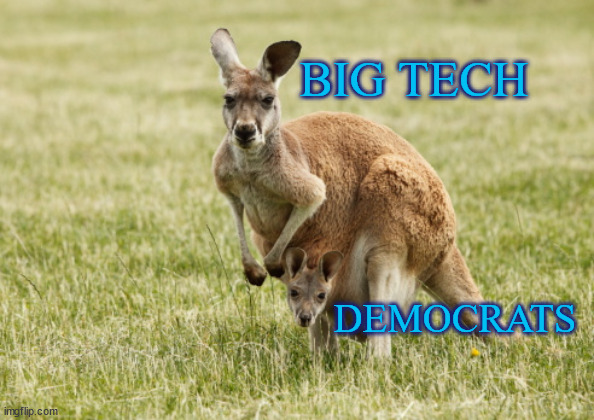 Big Tech | BIG TECH; DEMOCRATS | image tagged in democrats,bigtech,pouch baby | made w/ Imgflip meme maker