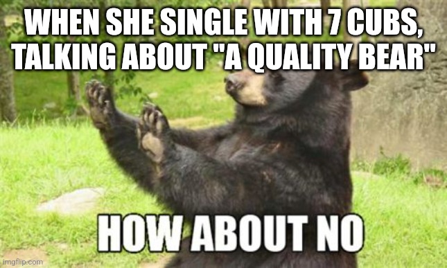 How About No Bear | WHEN SHE SINGLE WITH 7 CUBS, TALKING ABOUT "A QUALITY BEAR" | image tagged in memes,how about no bear | made w/ Imgflip meme maker