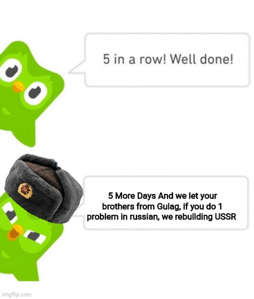 Duolingo 5 in a row | 5 More Days And we let your brothers from Gulag, if you do 1 problem in russian, we rebuilding USSR | image tagged in duolingo 5 in a row | made w/ Imgflip meme maker