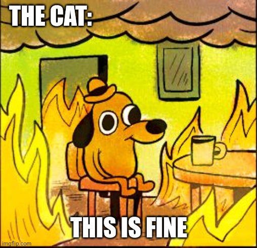 This is fine | THE CAT: THIS IS FINE | image tagged in this is fine | made w/ Imgflip meme maker