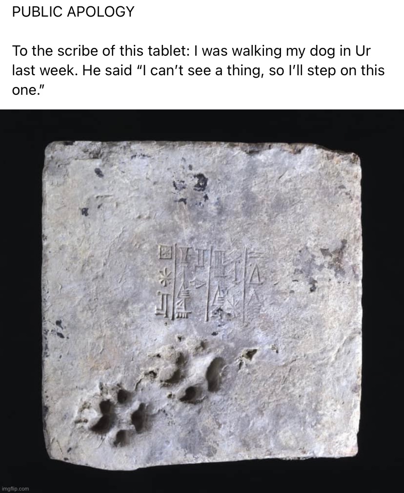 Public apology to scribe of tablet | image tagged in public apology to scribe of tablet | made w/ Imgflip meme maker