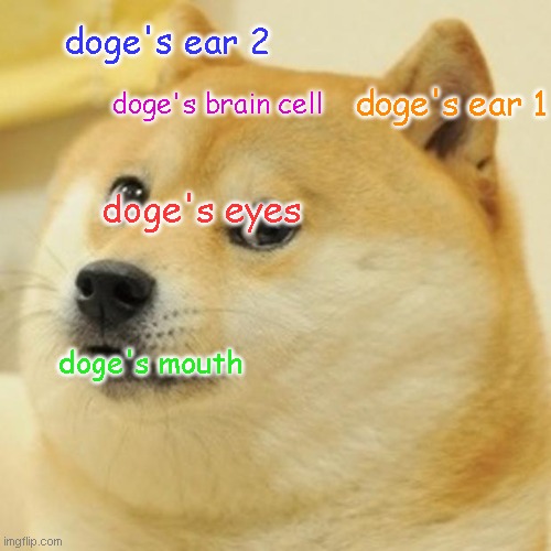 Doge Meme | doge's ear 2; doge's ear 1; doge's brain cell; doge's eyes; doge's mouth | image tagged in memes,doge | made w/ Imgflip meme maker