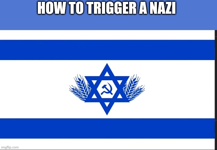 HOW TO TRIGGER A NAZI | made w/ Imgflip meme maker