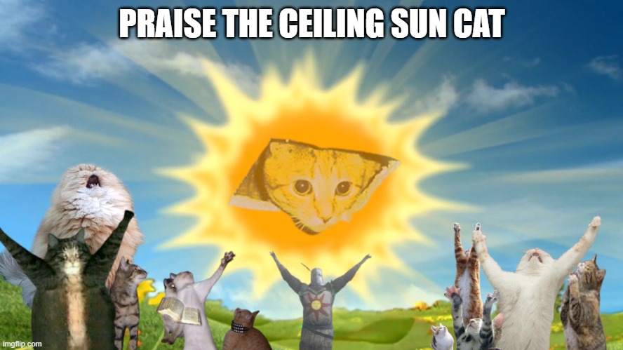 Praise the Ceiling Cat | PRAISE THE CEILING SUN CAT | image tagged in praise the sun,ceiling cat,cats,dark souls | made w/ Imgflip meme maker
