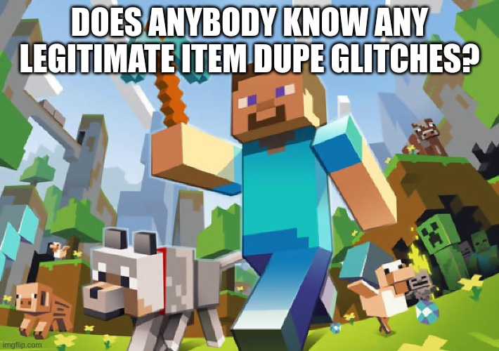 i just found ancient debris and im trying to dupe it but nothing will work | DOES ANYBODY KNOW ANY LEGITIMATE ITEM DUPE GLITCHES? | image tagged in minecraft | made w/ Imgflip meme maker