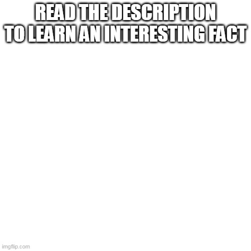 Blank Transparent Square Meme | READ THE DESCRIPTION TO LEARN AN INTERESTING FACT; YOUR MOM IS GAY LOL | image tagged in memes,blank transparent square | made w/ Imgflip meme maker