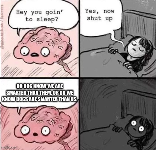 waking up brain | DO DOG KNOW WE ARE SMARTER THAN THEM, OR DO WE KNOW DOGS ARE SMARTER THAN US. | image tagged in waking up brain | made w/ Imgflip meme maker