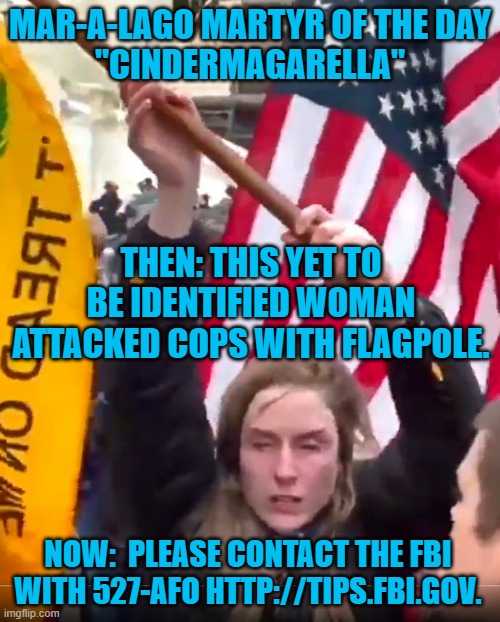 If this is you, it is time to surrender. | MAR-A-LAGO MARTYR OF THE DAY
"CINDERMAGARELLA"; THEN: THIS YET TO BE IDENTIFIED WOMAN ATTACKED COPS WITH FLAGPOLE. NOW:  PLEASE CONTACT THE FBI WITH 527-AFO HTTP://TIPS.FBI.GOV. | image tagged in politics | made w/ Imgflip meme maker