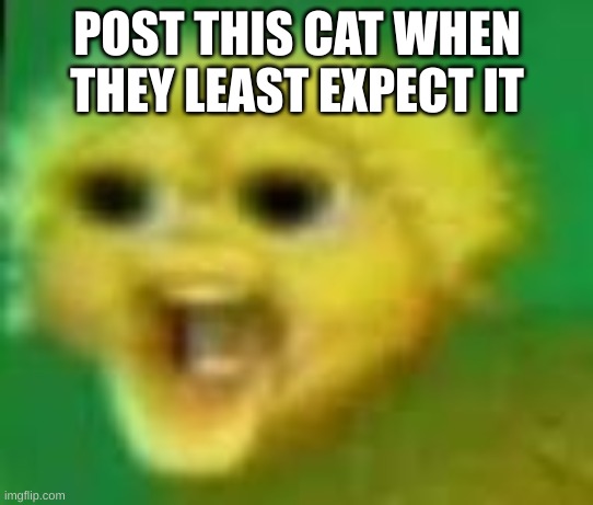user note: cAn I gEt mOd?1?1? /j | POST THIS CAT WHEN THEY LEAST EXPECT IT | made w/ Imgflip meme maker