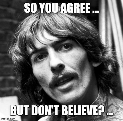 Hi George | SO YOU AGREE ... BUT DON'T BELIEVE? ... | image tagged in hi george | made w/ Imgflip meme maker
