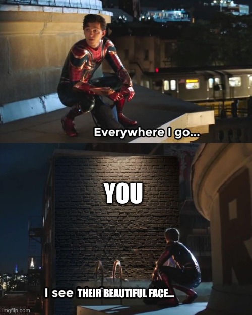 :3 | YOU; THEIR BEAUTIFUL FACE... | image tagged in everywhere i go i see his face | made w/ Imgflip meme maker