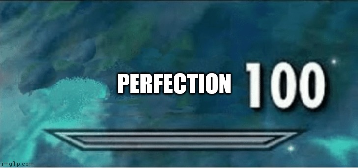 Skyrim 100 Blank | PERFECTION | image tagged in skyrim 100 blank | made w/ Imgflip meme maker