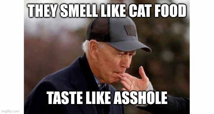 THEY SMELL LIKE CAT FOOD TASTE LIKE ASSHOLE | image tagged in biden sucking wife's finger | made w/ Imgflip meme maker