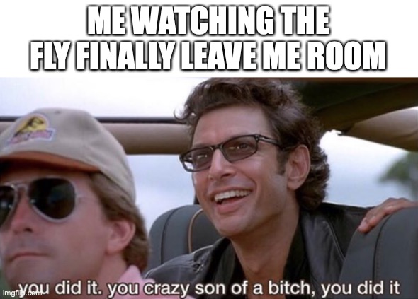 hjis life works completed | ME WATCHING THE FLY FINALLY LEAVE ME ROOM | image tagged in you did it jurassic park,funny,memes,fun,will smith punching chris rock | made w/ Imgflip meme maker