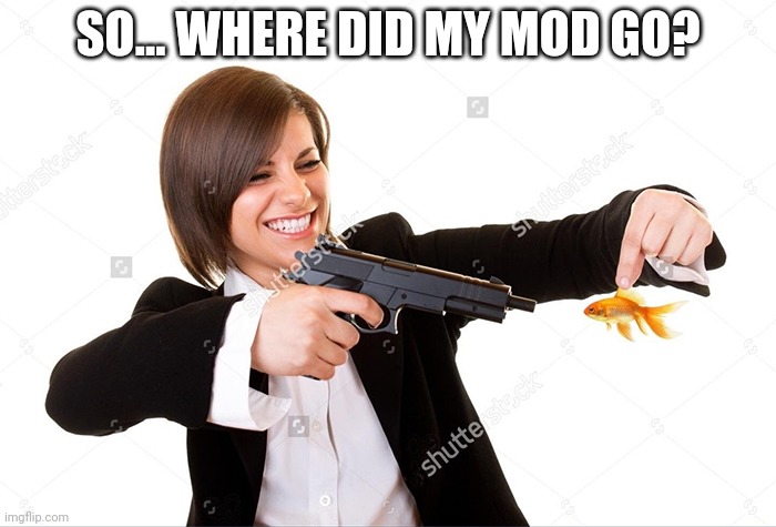 Girl Shooting Goldfish | SO... WHERE DID MY MOD GO? | image tagged in girl shooting goldfish | made w/ Imgflip meme maker