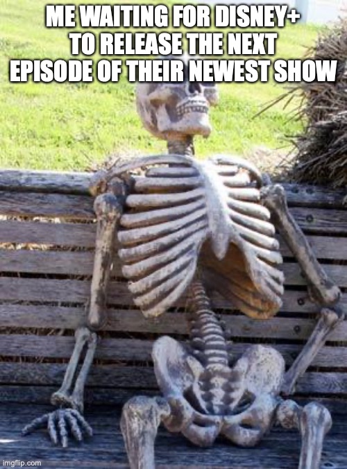 made while eating for the next moon knight | ME WAITING FOR DISNEY+ TO RELEASE THE NEXT EPISODE OF THEIR NEWEST SHOW | image tagged in memes,waiting skeleton,fun,funny,disney,barney will eat all of your delectable biscuits | made w/ Imgflip meme maker