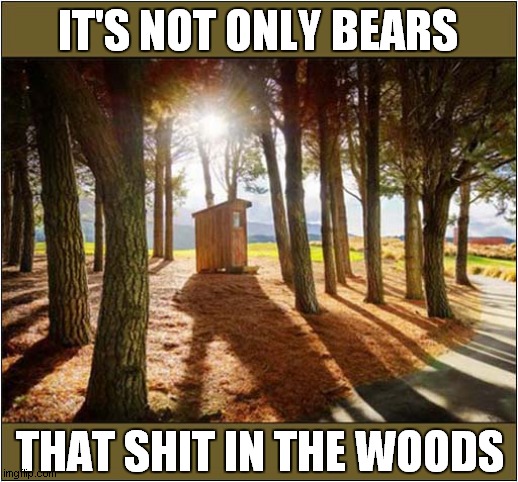 Popular Sayings Made Real ! | IT'S NOT ONLY BEARS; THAT SHIT IN THE WOODS | image tagged in sayings,bears,woods,front page | made w/ Imgflip meme maker