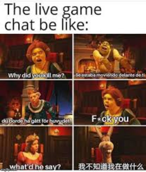 The live chat | image tagged in funny,chat,memes | made w/ Imgflip meme maker
