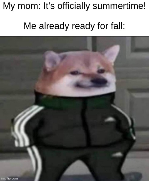 School's gonna be out next month! | My mom: It's officially summertime!
 
Me already ready for fall: | image tagged in slav doge | made w/ Imgflip meme maker