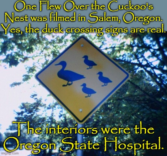 Part of the OHS is now a museum to bad health practices. |  One Flew Over the Cuckoo's Nest was filmed in Salem, Oregon. Yes, the duck crossing signs are real. The interiors were the
Oregon State Hospital. | image tagged in duck crossing - salem oregon,movie,mental illness,electroshock | made w/ Imgflip meme maker