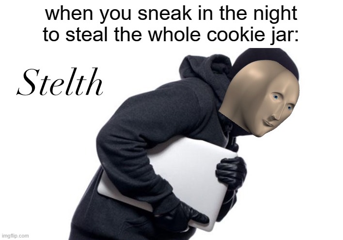 Meme man stelth | when you sneak in the night to steal the whole cookie jar: | image tagged in meme man stelth,stelth,stealth,stealing,cookies | made w/ Imgflip meme maker