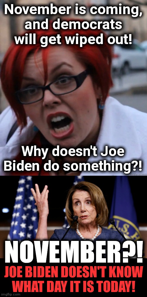 A potato can't plan for the future | November is coming,
and democrats will get wiped out! Why doesn't Joe Biden do something?! NOVEMBER?! JOE BIDEN DOESN'T KNOW
WHAT DAY IT IS TODAY! | image tagged in feminist face,memes,joe biden,senile,democrats | made w/ Imgflip meme maker