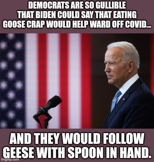 True story | DEMOCRATS ARE SO GULLIBLE THAT BIDEN COULD SAY THAT EATING GOOSE CRAP WOULD HELP WARD OFF COVID... AND THEY WOULD FOLLOW GEESE WITH SPOON IN HAND. | image tagged in joe biden speech | made w/ Imgflip meme maker