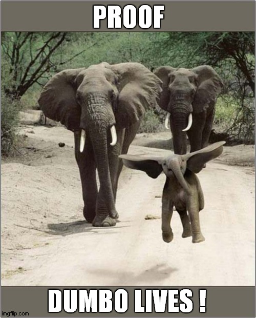 When I See An Elephant Fly ! | PROOF; DUMBO LIVES ! | image tagged in fun,elephants,dumbo,flying | made w/ Imgflip meme maker