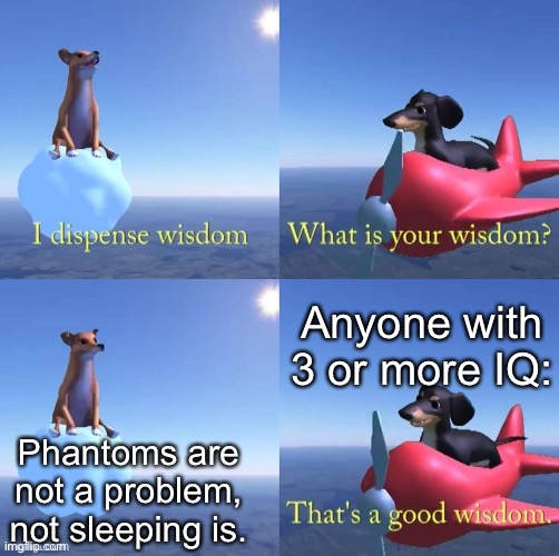 Wisdom dog | Anyone with 3 or more IQ:; Phantoms are not a problem, not sleeping is. | image tagged in wisdom dog | made w/ Imgflip meme maker