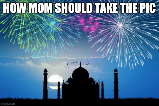 Taj Mahal Diwali | HOW MOM SHOULD TAKE THE PIC | image tagged in taj mahal diwali | made w/ Imgflip meme maker