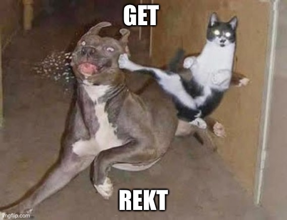 GET REKT | GET REKT | image tagged in get rekt | made w/ Imgflip meme maker