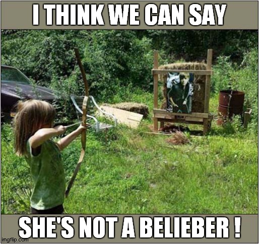 A Music Critic ! | I THINK WE CAN SAY; SHE'S NOT A BELIEBER ! | image tagged in archery,justin bieber,critics,dark humour | made w/ Imgflip meme maker