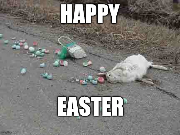 Happy Easter | HAPPY; EASTER | image tagged in easter,easter bunny,happy easter,memes,not the real reason | made w/ Imgflip meme maker
