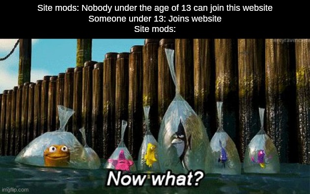 what's the point of making it a rule if it's not enforced | Site mods: Nobody under the age of 13 can join this website
Someone under 13: Joins website
Site mods: | image tagged in now what | made w/ Imgflip meme maker