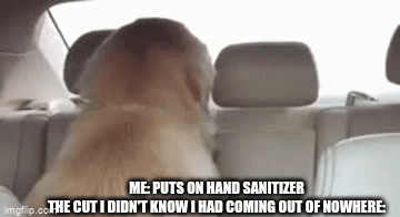 It just snaps into existence | ME: PUTS ON HAND SANITIZER
THE CUT I DIDN'T KNOW I HAD COMING OUT OF NOWHERE: | image tagged in gifs,funny,memes,sauce made this,oh wow are you actually reading these tags,stop reading the tags | made w/ Imgflip video-to-gif maker