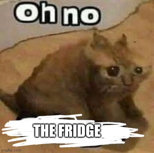 oH nO cRInGe | THE FRIDGE | image tagged in oh no cringe | made w/ Imgflip meme maker