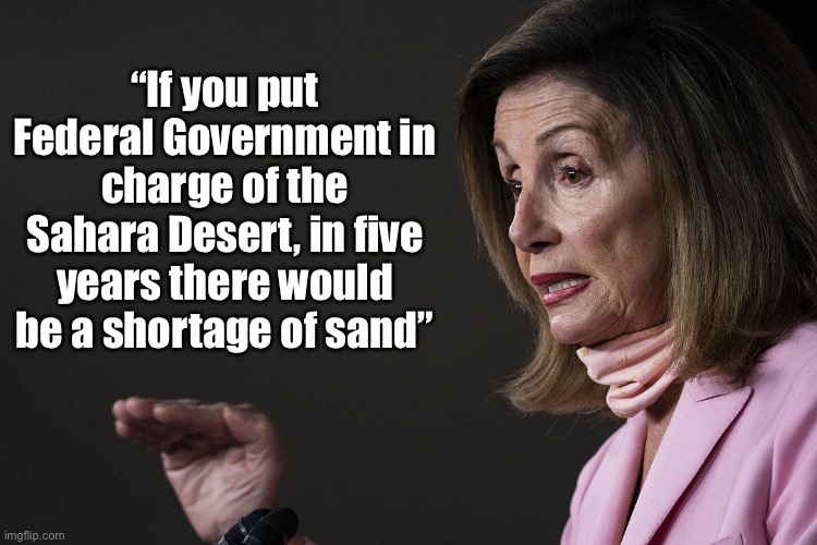 Federal Government | “If you put Federal Government in charge of the Sahara Desert, in five years there would be a shortage of sand” | image tagged in ineptitude,government,special kind of stupid | made w/ Imgflip meme maker