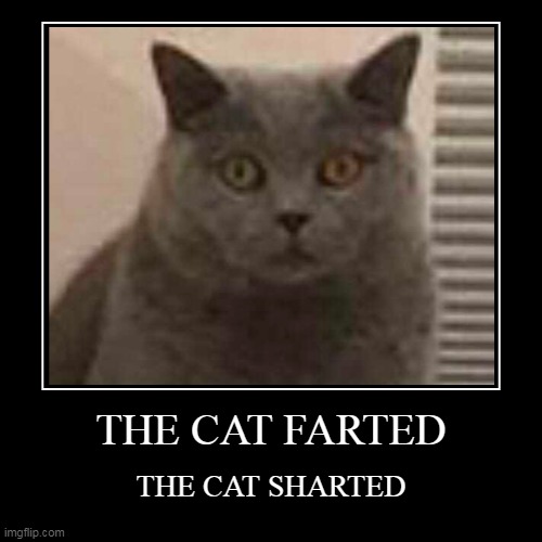 THE CAT FARTED | image tagged in funny,demotivationals,cats,fart,shard,lolz | made w/ Imgflip demotivational maker