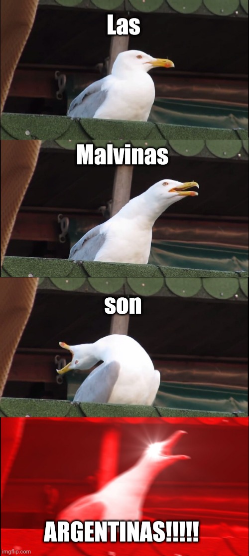 Let's see what you guys get | Las; Malvinas; son; ARGENTINAS!!!!! | image tagged in memes,inhaling seagull | made w/ Imgflip meme maker